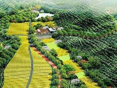 解讀山東“十四五”規(guī)劃 這些亮點(diǎn)值得期待