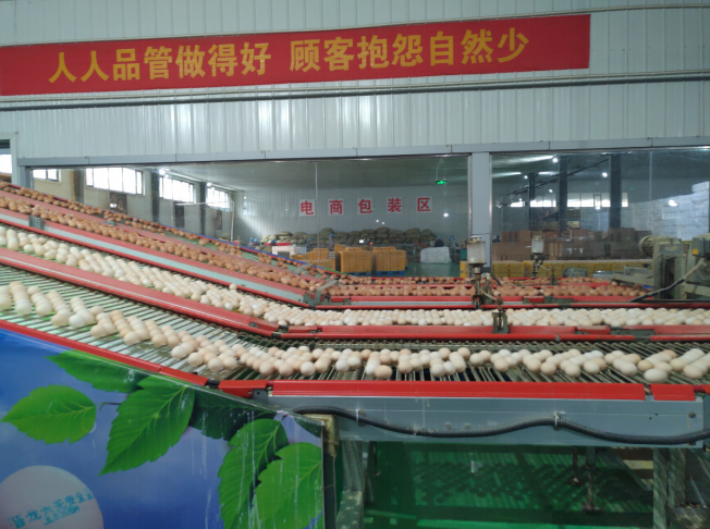 后稷故里，板棗之鄉(xiāng)——山西省稷山縣大力爭(zhēng)創(chuàng)國(guó)家現(xiàn)代農(nóng)業(yè)產(chǎn)業(yè)園