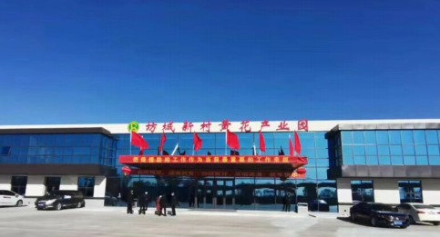 大同黃花，忘憂云州——云州區(qū)積極申創(chuàng)國家農(nóng)業(yè)現(xiàn)代化示范區(qū)